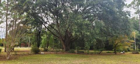 5457 Fairchild Road, Crestview FL - photo 7 of 30