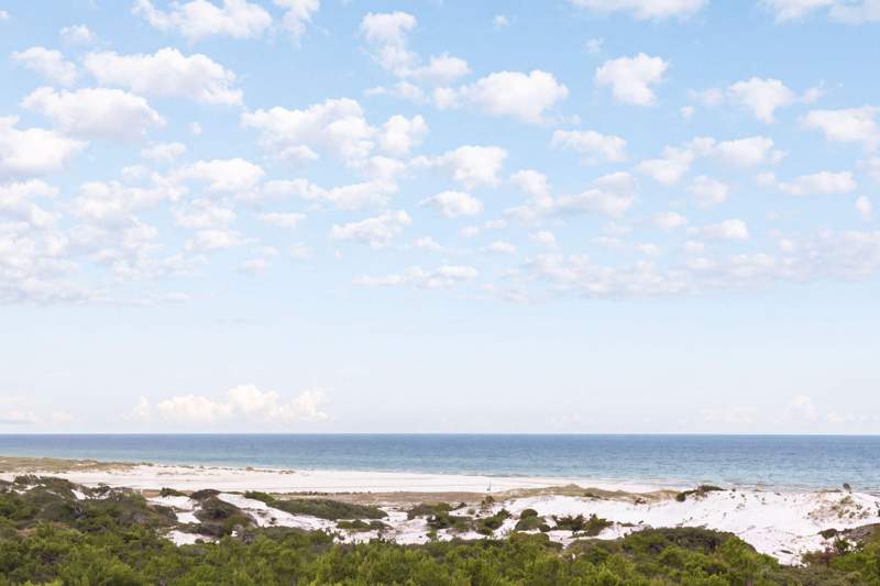 6 bedroom Detached Single Family at 219 Walton Magnolia Lane, The Overlook at Inlet Beach, Inlet Beach — photo 2