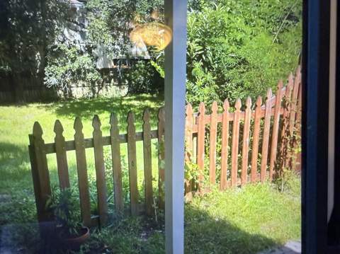 904 Pineview Boulevard, Fort Walton Beach FL - photo 13 of 13