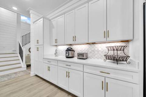20 Lake Mist Lane, Inlet Beach FL - photo 15 of 88