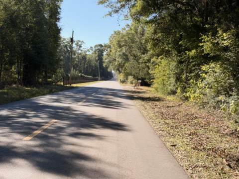 5040 Griffith Mill Road, Holt FL - photo 6 of 36