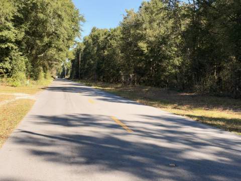 5040 Griffith Mill Road, Holt FL - photo 24 of 36