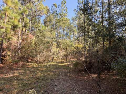5040 Griffith Mill Road, Holt FL - photo 23 of 36