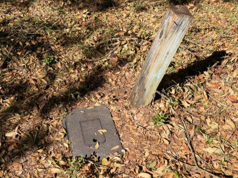 Parcel A Griffith Mill Road, Holt FL - photo 18 of 29