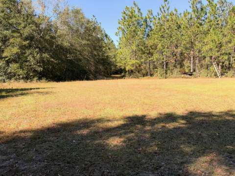 Parcel A Griffith Mill Road, Holt FL - photo 21 of 29