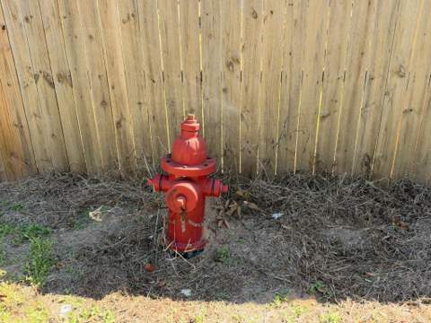 Parcel A Griffith Mill Road, Holt FL - photo 24 of 29