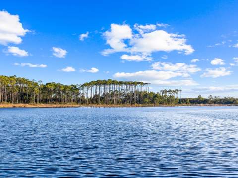 34 Gulf Breeze Drive, Santa Rosa Beach FL - photo 12 of 12