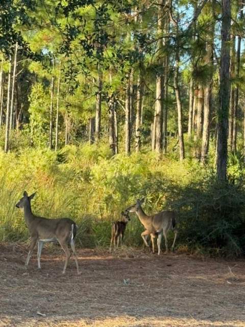 424 N Church Street, Santa Rosa Beach FL - photo 23 of 39