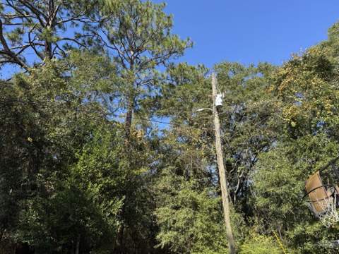 3211 Maple Street, Crestview FL - photo 24 of 28