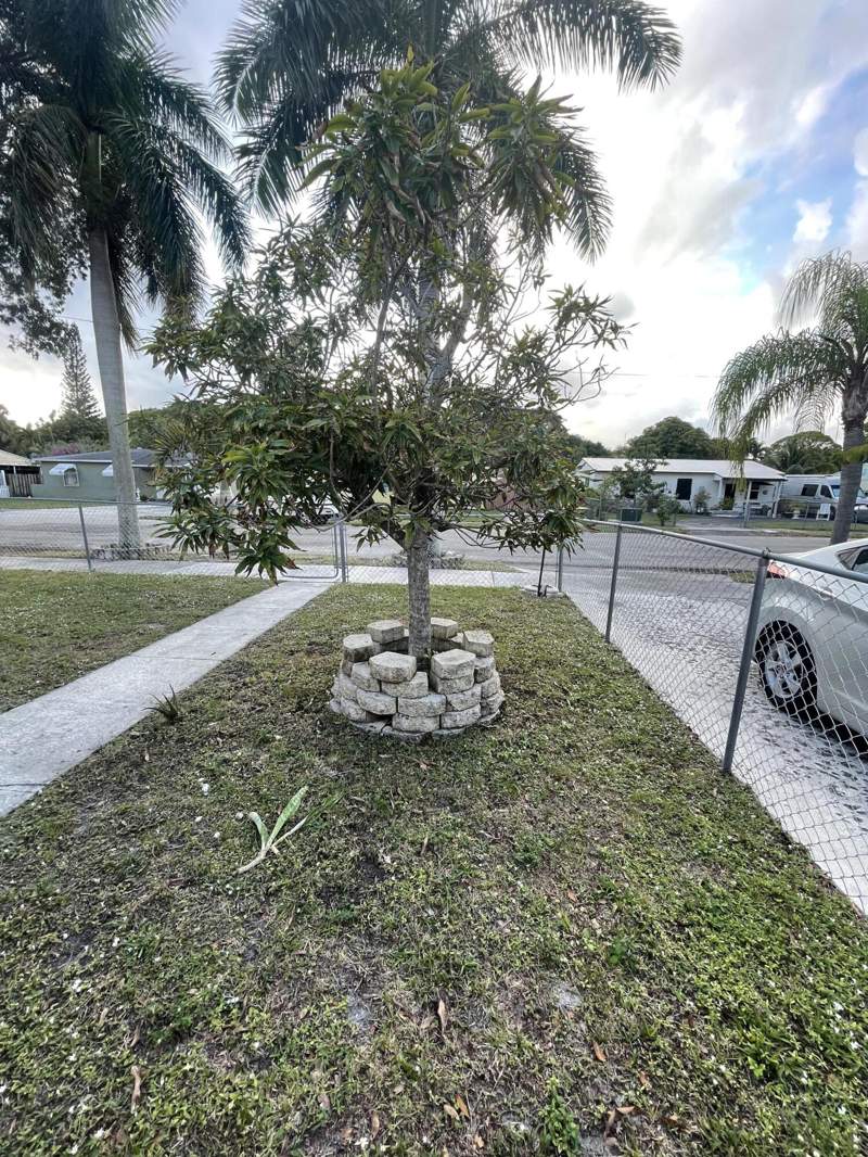 3 bedroom Single Family Residence at 3024 Glenwood Road, Mackle Park 1st Add, West Palm Beach — photo 4