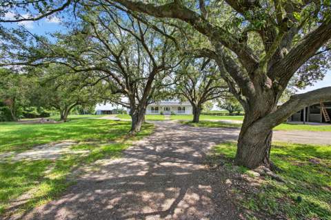 16229 Rustic Rd Road, Wellington FL - photo 6 of 140
