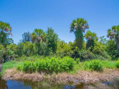 309 Mockingbird Avenue, Fort Pierce FL - photo 20 of 22