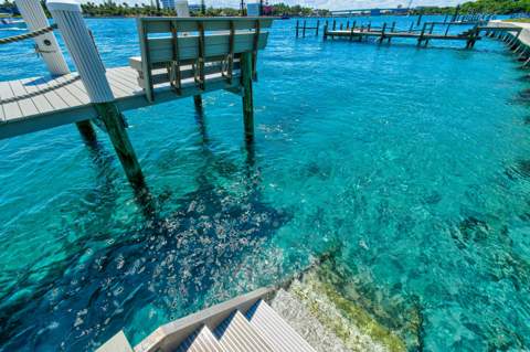 87 Lighthouse Drive, Jupiter Inlet Colony FL - photo 22 of 33