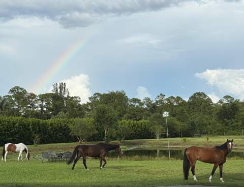2770 E Road, Loxahatchee Groves FL - photo 17 of 51