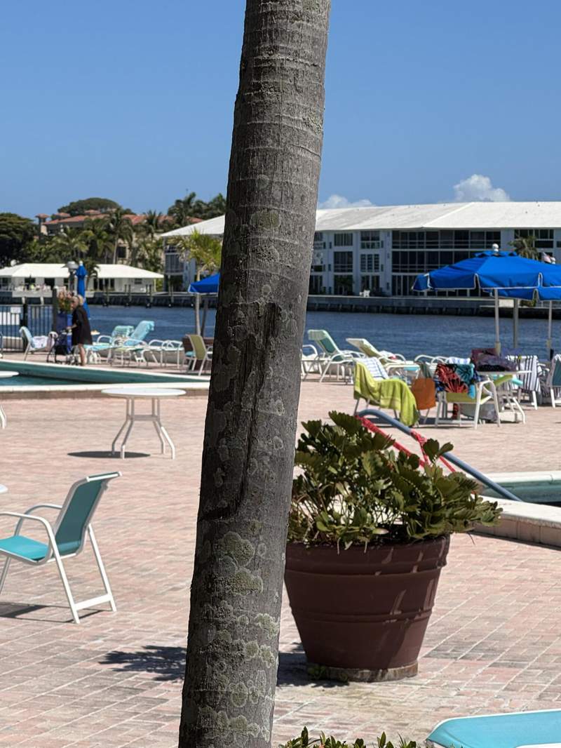 1 bedroom Condominium at 2010 S Federal Highway #I 405, Seagate Of Gulfstream, Boynton Beach — photo 4