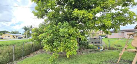 632 SW 13th Street, Belle Glade FL - photo 24 of 25