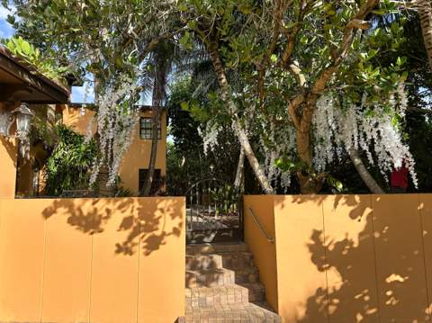 4200 N Surf Road, Hollywood FL - photo 9 of 33