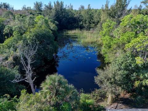 9620 171st Street, Jupiter FL - photo 16 of 23