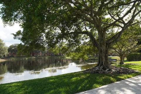 10245 SW 16th Court, Pembroke Pines FL - photo 19 of 22