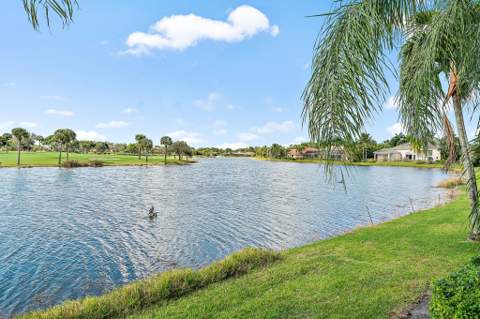 10520 Hawks Landing Terrace, West Palm Beach FL - photo 11 of 154