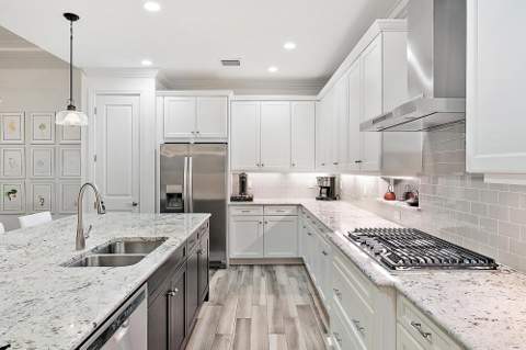 271 Carina Drive, Jupiter FL - photo 14 of 43