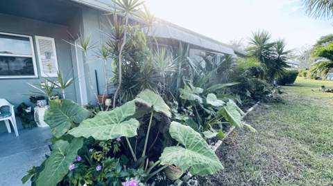 910 South Drive #B, Delray Beach FL - photo 18 of 25