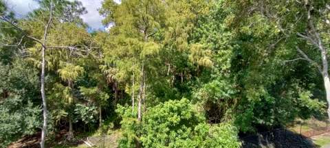 1000 Crestwood Court #1008, Royal Palm Beach FL - photo 17 of 24