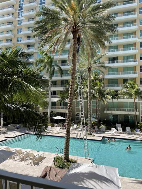 100 NE 6th Street #605, Boynton Beach FL - photo 9 of 23
