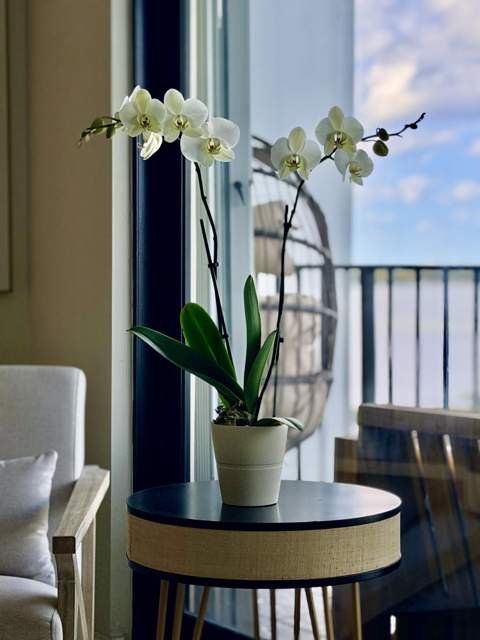 3460 S Ocean Boulevard #5110, Palm Beach FL - photo 20 of 50