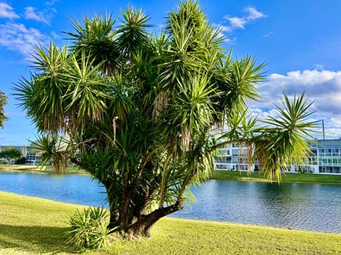 1011 Harwood C #1011, Deerfield Beach FL - photo 19 of 46