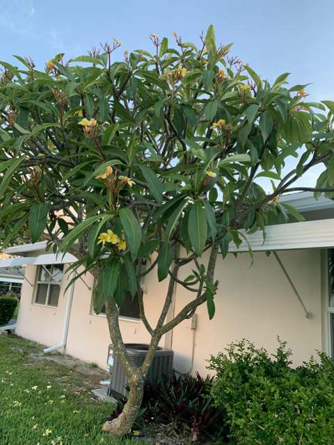 200 South Boulevard #A, Boynton Beach FL - photo 15 of 20