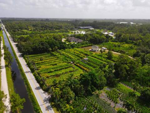 1550 C Road, Loxahatchee Groves FL - photo 22 of 23