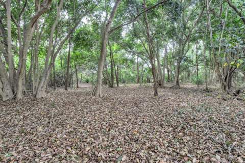 14181 35th Place, Loxahatchee Groves FL - photo 10 of 13