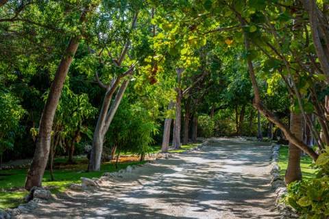 75280 Overseas Highway, Lower Matecumbe FL - photo 7 of 104