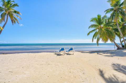 74501 Overseas Highway, Lower Matecumbe FL - photo 9 of 91