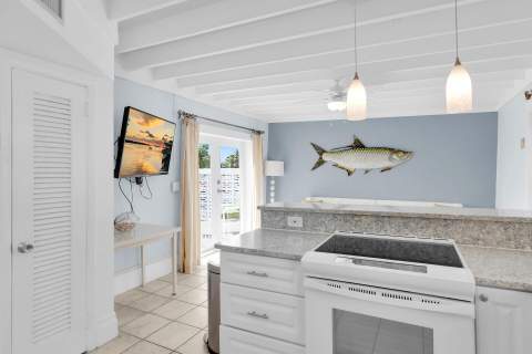 11725 3rd Avenue Ocean, Marathon FL - photo 11 of 46