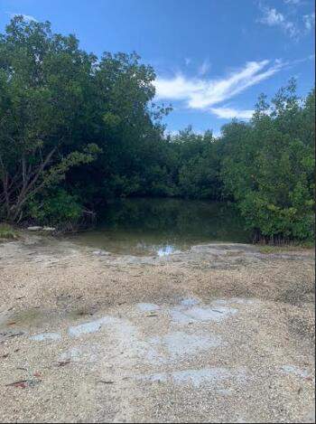 24840 Park Drive, Summerland Key FL - photo 16 of 20