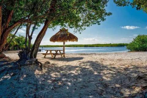 101551 Overseas Highway ## 154, Key Largo FL - photo 13 of 28