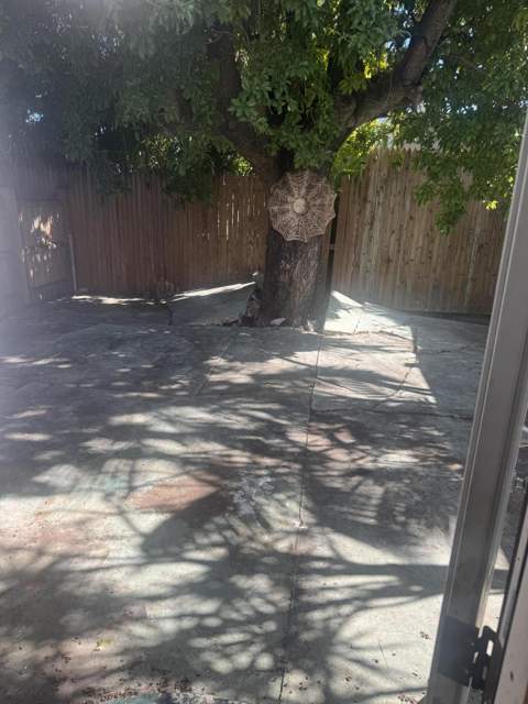 1432 Eliza Street, Key West FL - photo 6 of 6