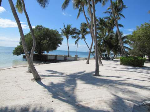 75131 Overseas Highway, Lower Matecumbe FL - photo 13 of 29