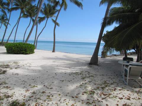 75131 Overseas Highway, Lower Matecumbe FL - photo 15 of 29