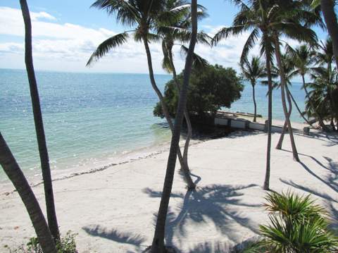 75131 Overseas Highway, Lower Matecumbe FL - photo 22 of 29