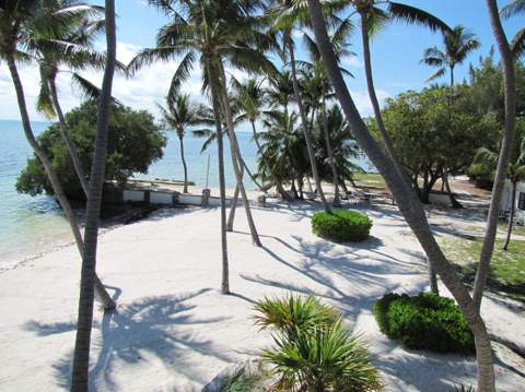 75131 Overseas Highway, Lower Matecumbe FL - photo 23 of 29