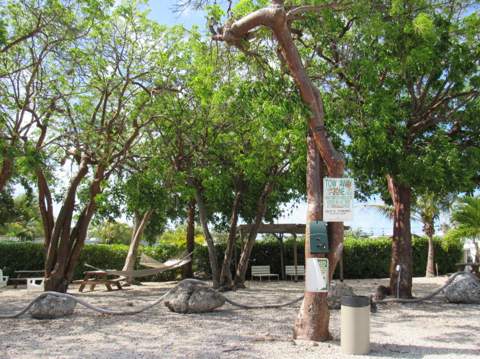 325 Calusa Street ## 15, Key Largo FL - photo 18 of 32