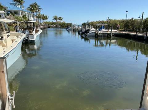 500 Burton Drive #4416, Key Largo FL - photo 20 of 55