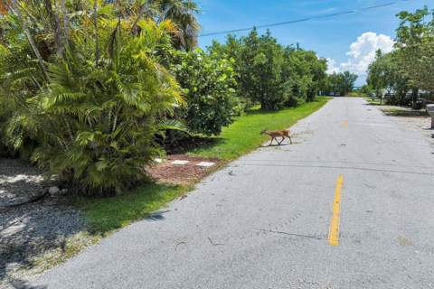 30461 Poinciana Road, Big Pine Key FL - photo 9 of 26