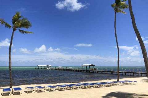 81801 Overseas Highway #637, Upper Matecumbe Key Islamorada FL - photo 16 of 31