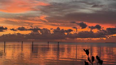 88500 Overseas Highway #Apt 424, Plantation Key FL - photo 22 of 31