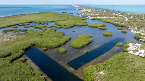 101 Ocean Shores Drive, Key Largo FL - photo 20 of 70