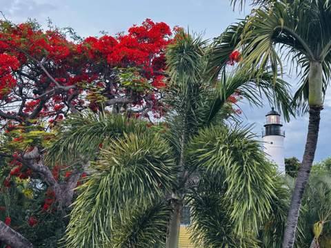 927 Thomas Street ##4, Key West FL - photo 20 of 22